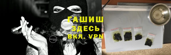 2c-b Ельня