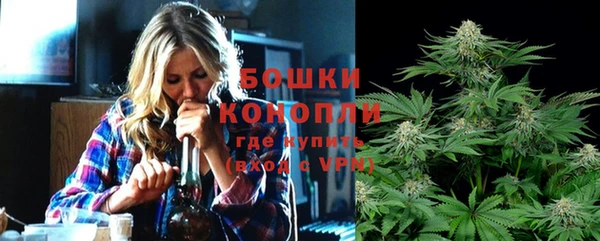 2c-b Ельня