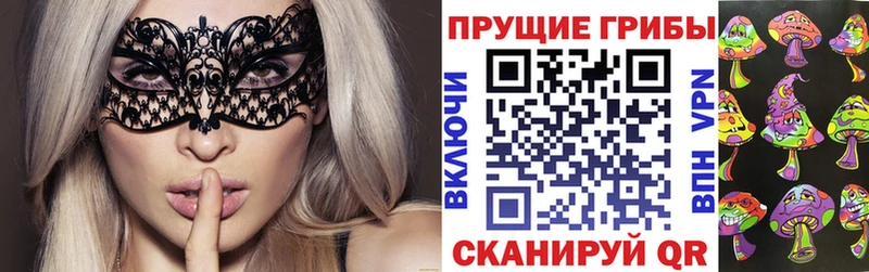 Галлюциногенные грибы Cubensis  Купить где  Зеленогорск 